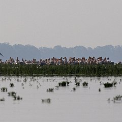 IMG_5642