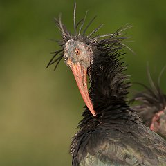 IMG_7724