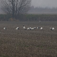 IMG_2813