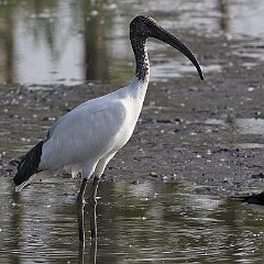 IMG_5697