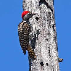 IMG_0349