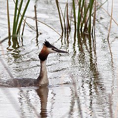 IMG_3574