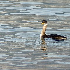 IMG_7757