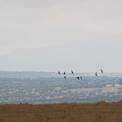 IMG_3255