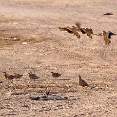 IMG_1167