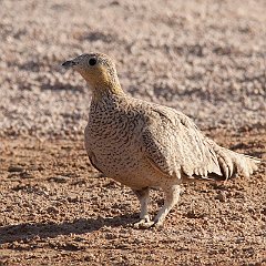 IMG_1185