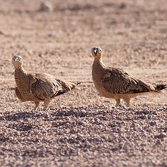 IMG_1194