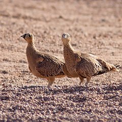 IMG_1197