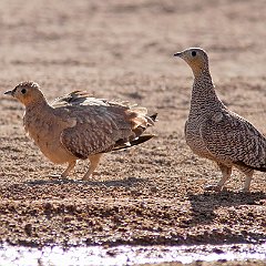 IMG_1202
