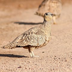 IMG_1209