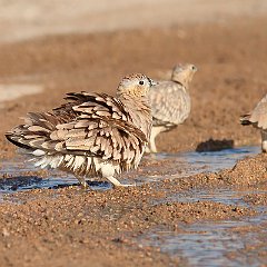 IMG_1225