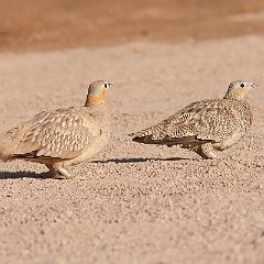 IMG_1230