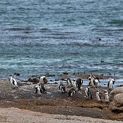 IMG_1841