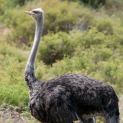 IMG_1527