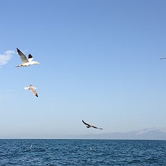 IMG_3206